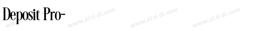 Deposit Pro字体转换